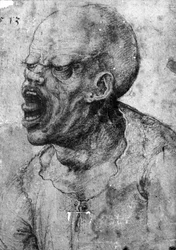 Portrait of a Man Shouting